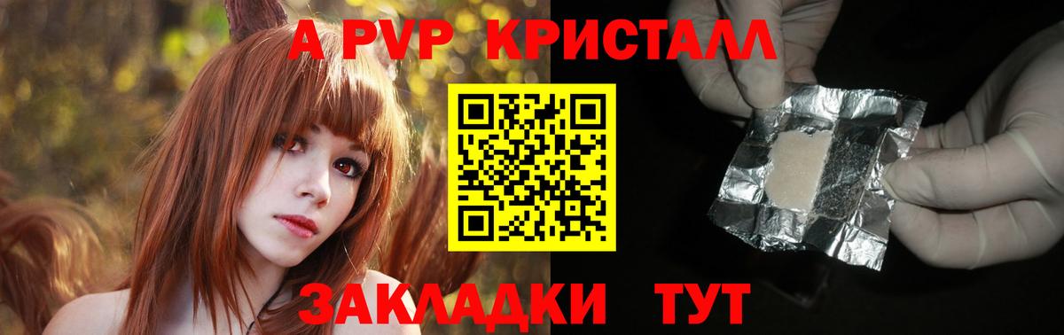 Альфа ПВП СК Калининград
