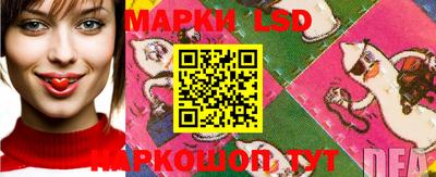 прущие грибы Кунгур